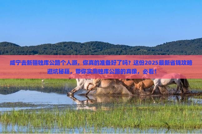 咸宁去新疆独库公路个人游