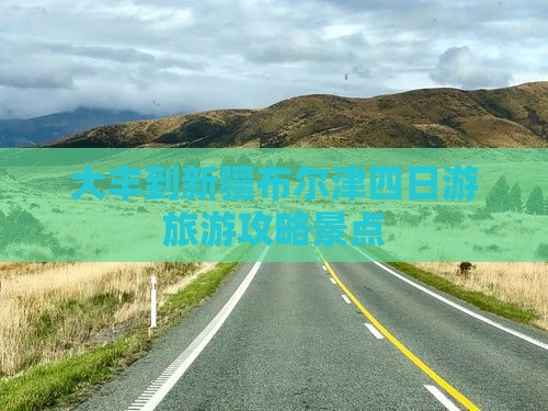 大丰到新疆布尔津四日游
