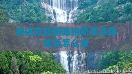 清远去新疆喀纳斯景点