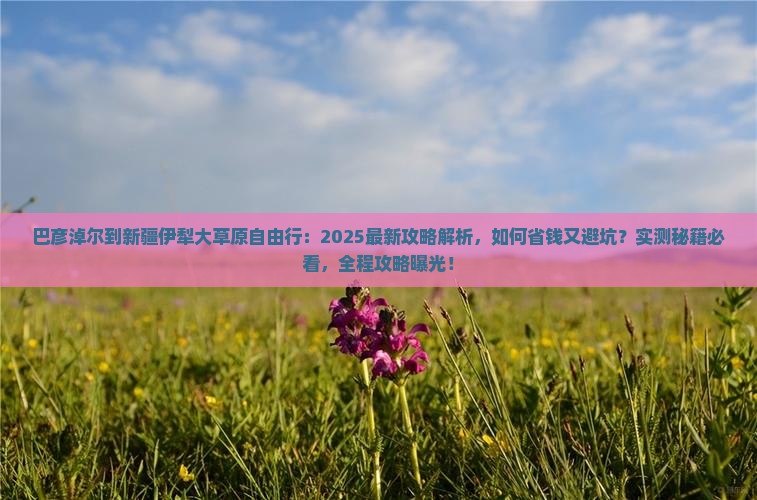 巴彦淖尔到新疆伊犁大草原自由行