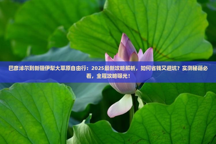 巴彦淖尔到新疆伊犁大草原自由行