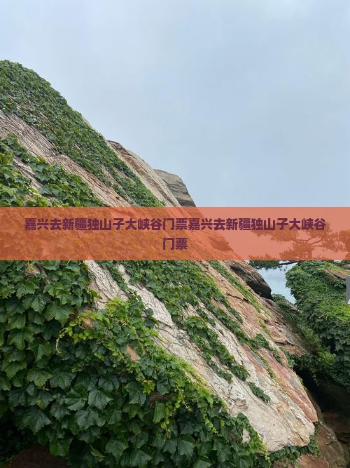 嘉兴去新疆独山子大峡谷门票
