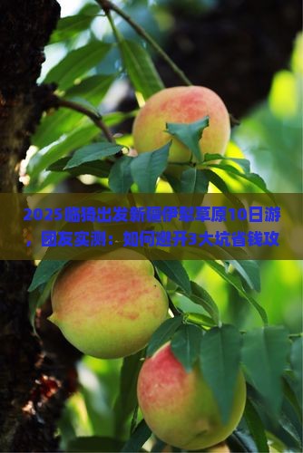 临猗到新疆伊犁大草原大型旅游团