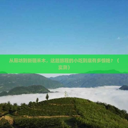 廊坊到新疆禾木旅游小吃