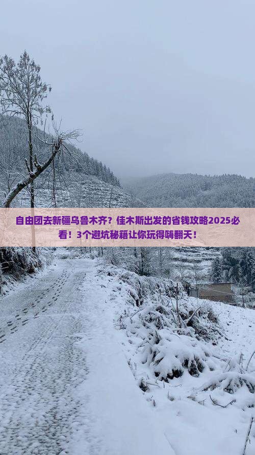 佳木斯到新疆乌鲁木齐自由团