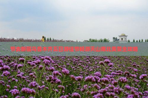 中秋节去新疆乌鲁木齐五日游