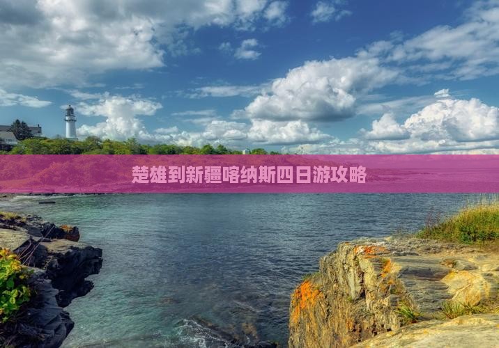 楚雄去新疆喀纳斯四日游
