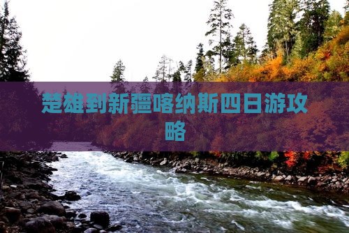 楚雄去新疆喀纳斯四日游