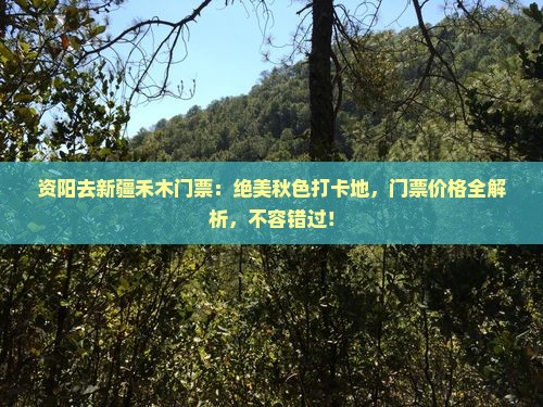 资阳去新疆禾木门票