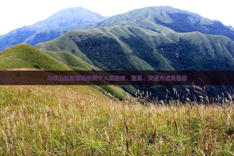 马鞍山到新疆喀纳斯个人游