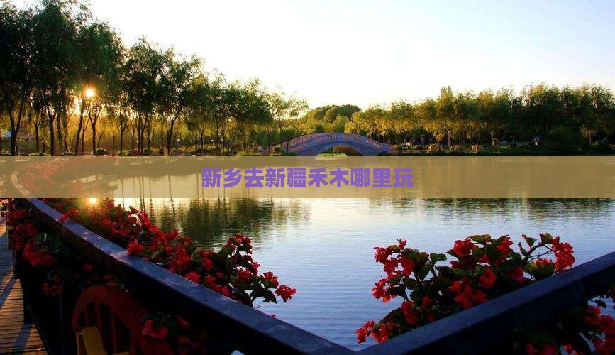 新乡去新疆禾木哪里玩