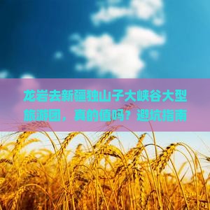 龙岩去新疆独山子大峡谷大型旅游团