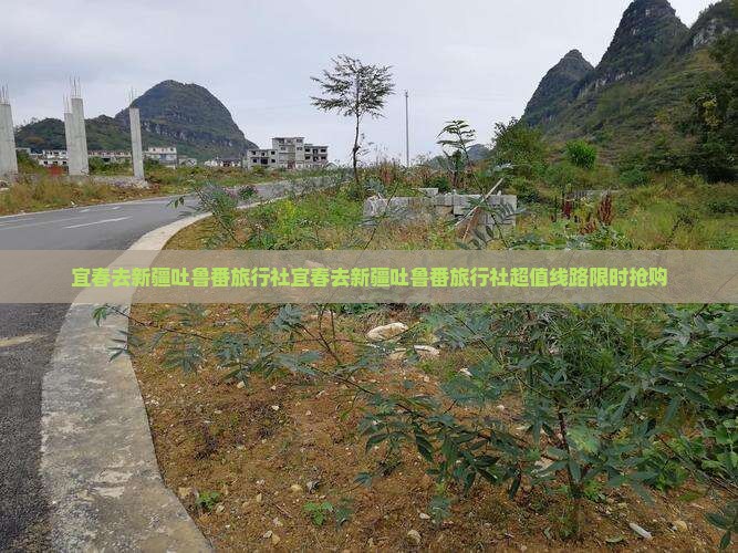 宜春去新疆吐鲁番旅行社
