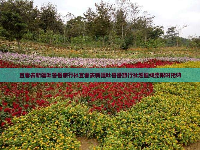 宜春去新疆吐鲁番旅行社