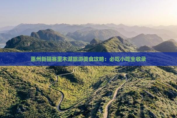 惠州去新疆赛里木湖旅游小吃