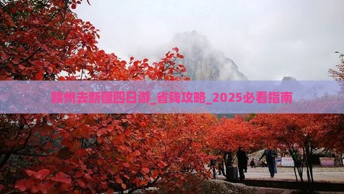 赣州去新疆四日游