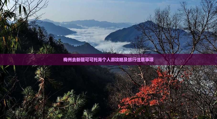 梅州去新疆可可托海个人游