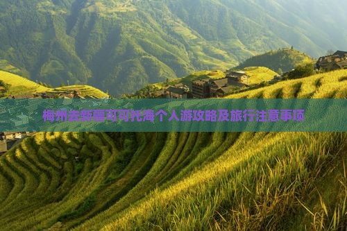 梅州去新疆可可托海个人游