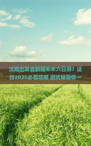 沈阳去新疆禾木六日游