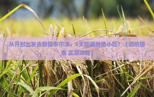 开封去新疆布尔津旅游小吃