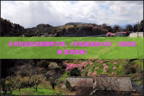 开封去新疆布尔津旅游小吃