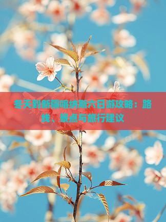 冬天到新疆喀纳斯六日游