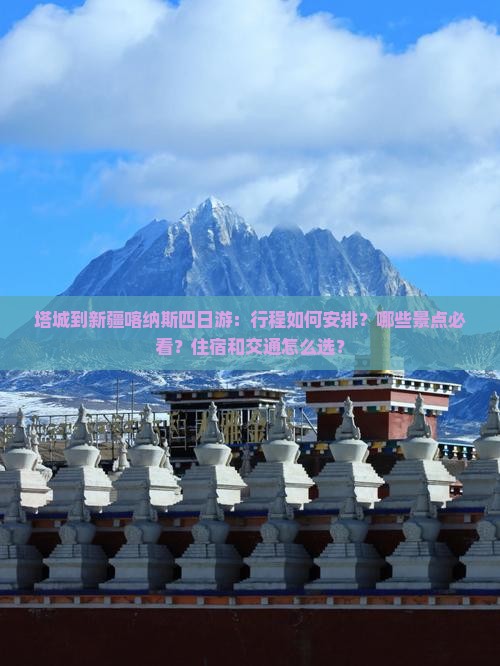 塔城到新疆喀纳斯四日游