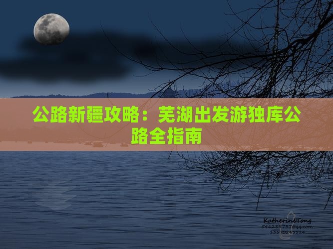 芜湖到新疆独库公路门票