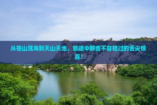 大理去新疆天山天池旅游小吃