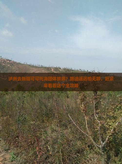 泸州去新疆可可托海团体旅游