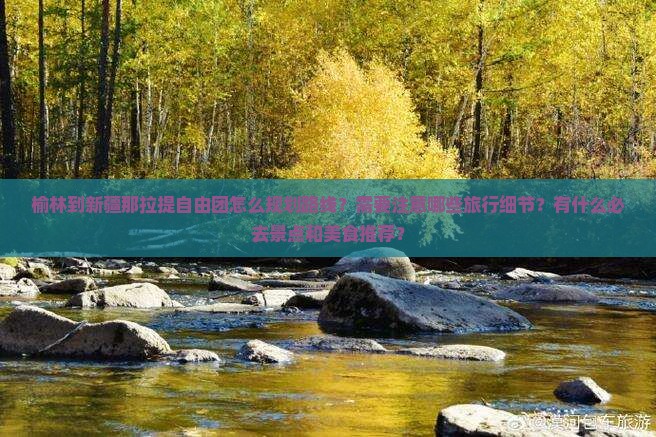 榆林到新疆那拉提自由团