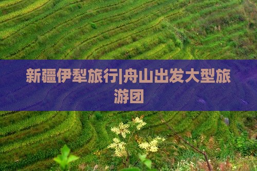 舟山去新疆伊犁大草原大型旅游团