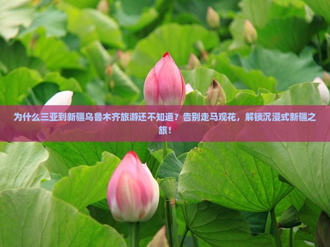三亚到新疆乌鲁木齐旅游