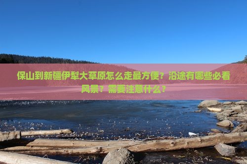 保山到新疆伊犁大草原攻略