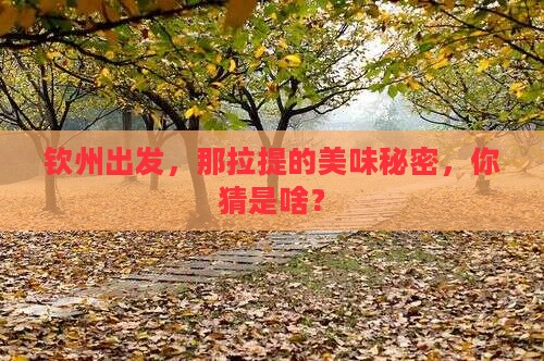钦州去新疆那拉提旅游小吃