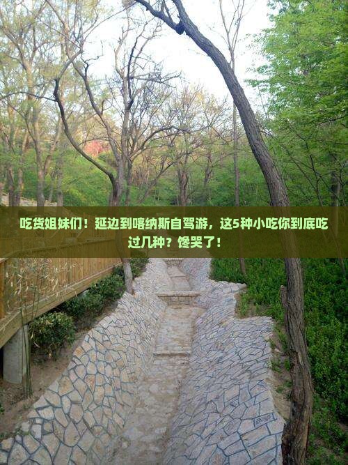 延边到新疆喀纳斯旅游小吃