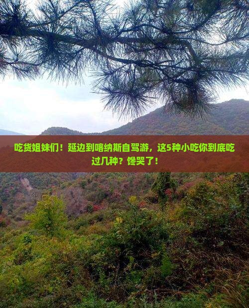 延边到新疆喀纳斯旅游小吃