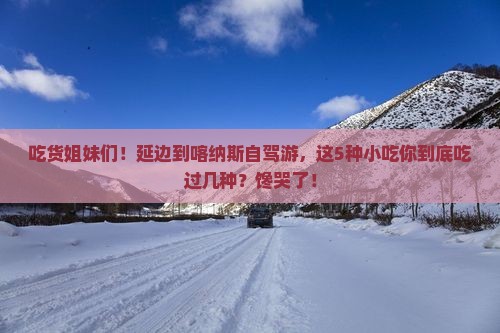 延边到新疆喀纳斯旅游小吃