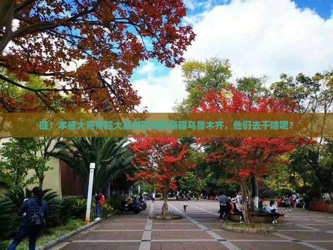 孝感到新疆乌鲁木齐大型旅游团