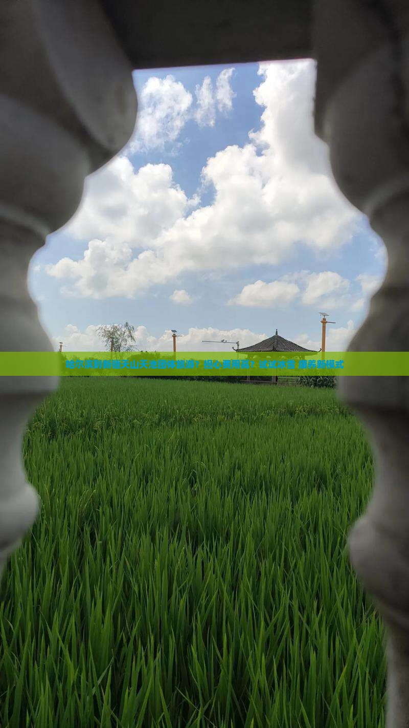 哈尔滨到新疆天山天池团体旅游