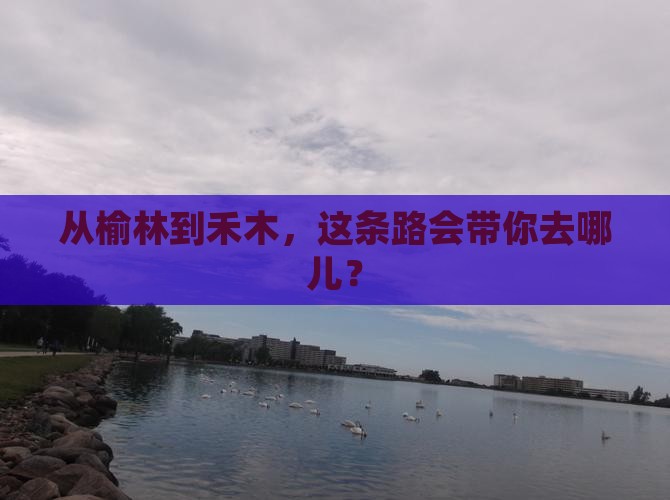 榆林去新疆禾木自由团