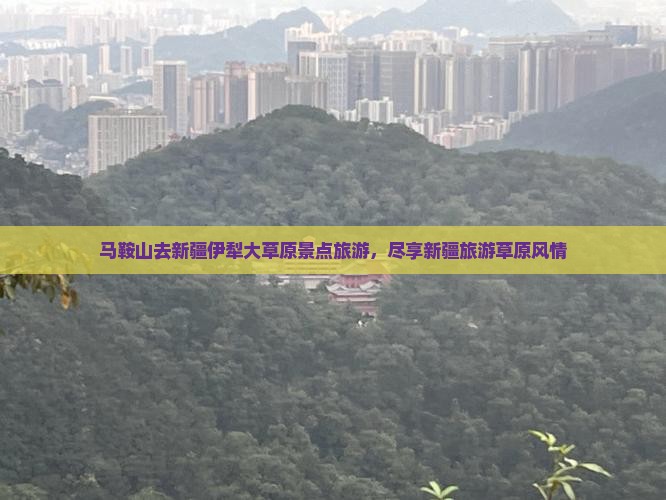 马鞍山去新疆伊犁大草原自由团