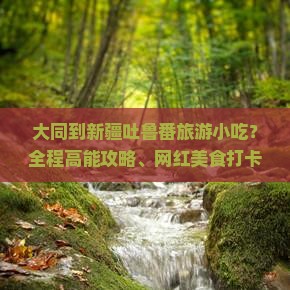 大同到新疆吐鲁番旅游小吃