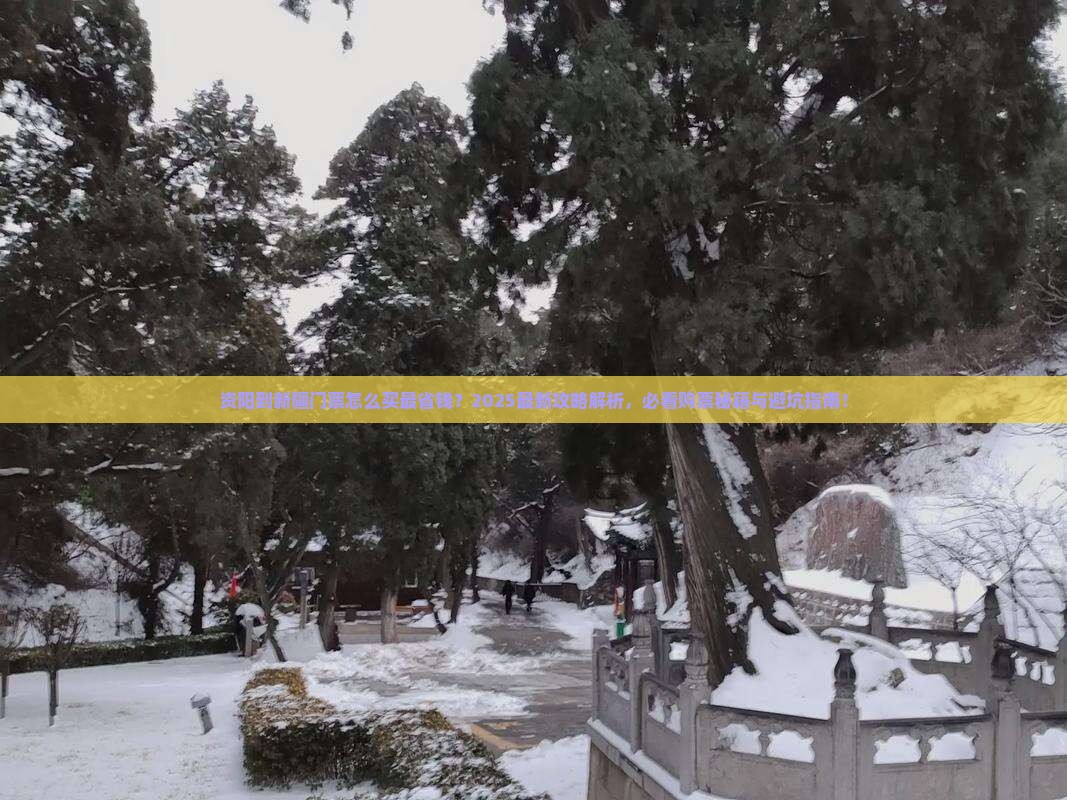 资阳到新疆门票