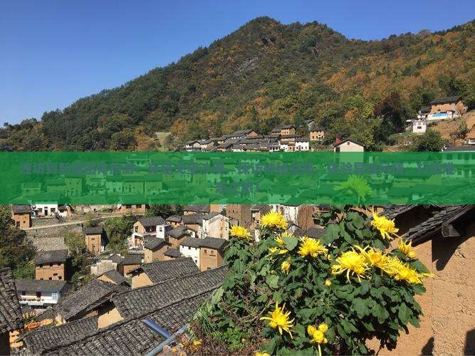 潍坊到新疆团体旅游