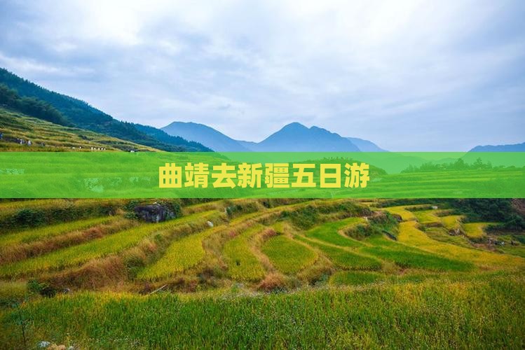 曲靖去新疆五日游