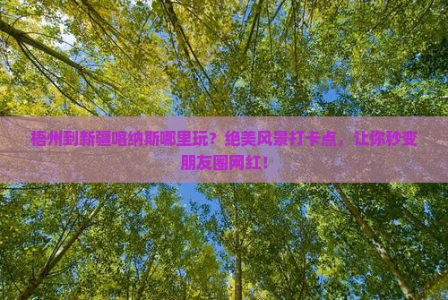 梧州到新疆喀纳斯哪里玩