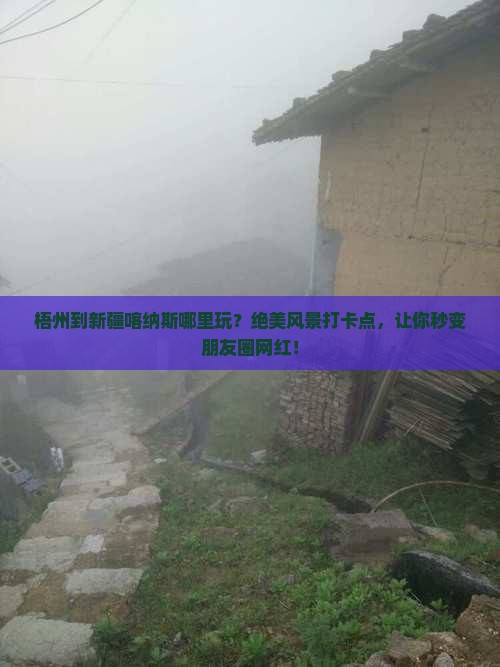 梧州到新疆喀纳斯哪里玩
