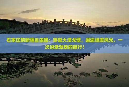 石家庄到新疆自由团