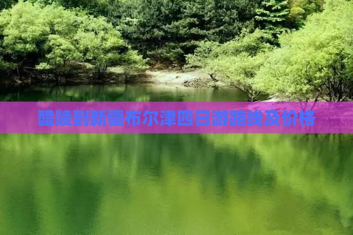 醴陵到新疆布尔津四日游